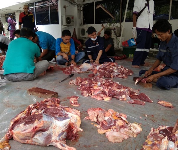 Pemotongan daging kurban di lapangan parkir kantor wali kota Pekanbaru, Selasa (13/8/2019). Foto: Surya/Riau1.
