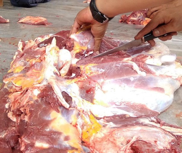 Ilustrasi daging sapi. Foto: Surya/Riau1.