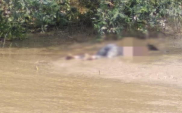 Jasad korban sambaran buaya ditemukan di pinggir Sungai Batang Tuaka Inhil
