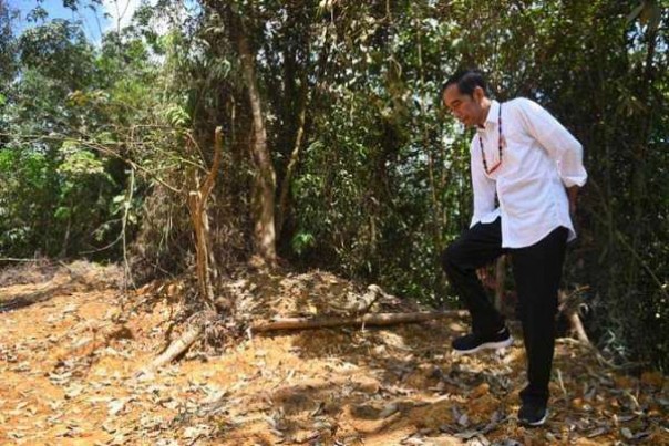 Presiden Jokowi saat meninjau lokasi kandidat ibu kota negara di Kabupaten Gunung Mas, Kalteng, Kalimantan, beberapa bulan lalu.