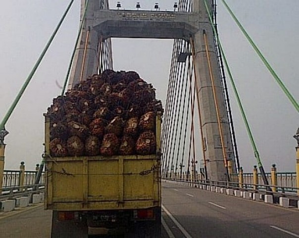 Truk membawa sawit melebihi muatan saat melintas di Jembatan Tengku Agung Sultanah Latifa
