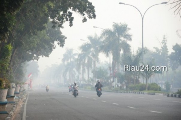 Kabut asap selimuti Riau (foto: dok/riau24group)