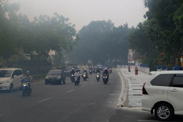 Kabut asap selimuti Riau (foto: dok/riau24group)
