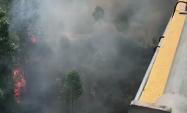 Potongan tangkapan gambar dari cuplikan video kebakaran lahan yang diduga di bawah Jembatan Maredan