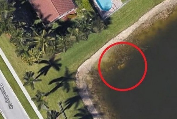 Citra sateydari Google Maps yang menemukan mobil Moldt di dalam kolam
