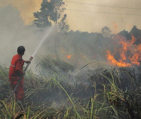Tim Manggala Agni memadamkan kebakaran lahan gambut di Desa Pulau Semembu, Indralaya Utara, Ogan Ilir, Sumatra Selatan. Foto: Antara.