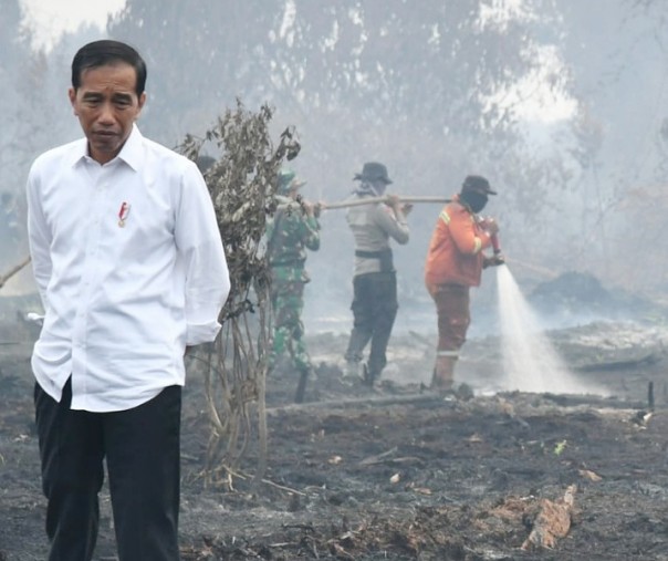 Presiden RI Joko Widodo (Foto: Istimewa)