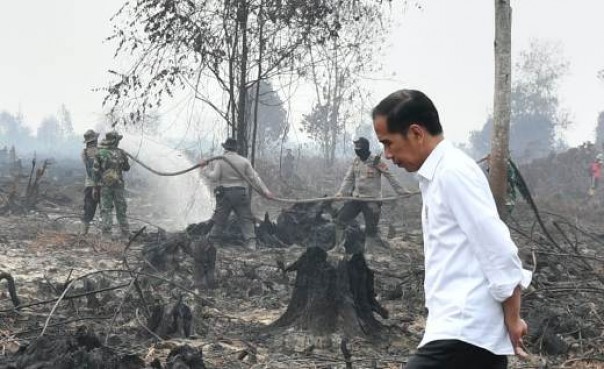 Presiden Jokowi meninjau karlahut di Pelalawan