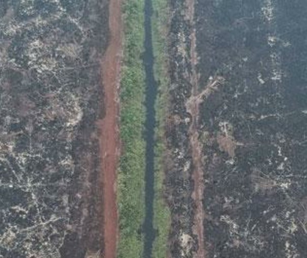Foto udara kondisi hutan dan lahan yang terbakar di Desa Tuah Indrapura, Kabupaten Siak, Riau, Rabu (18/9/2019). Foto: Tempo.co. 