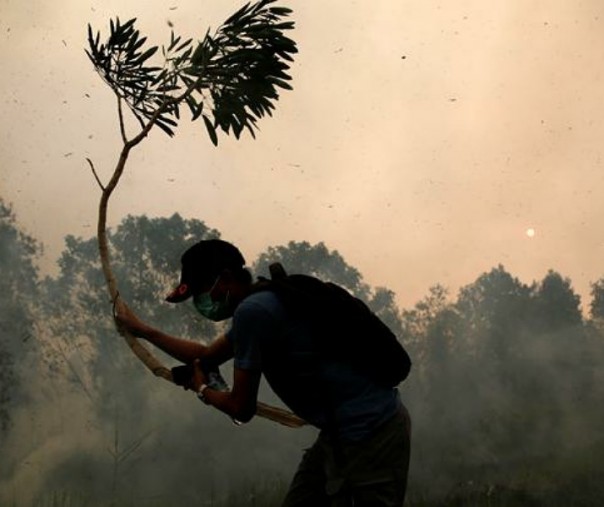 Seorang petugas pemadam kebakaran sukarela menggunakan cabang pohon untuk memadamkan api di Kabupaten Pulang Pisau dekat Palangka Raya, Kalimantan Tengah. Foto: Reuters.