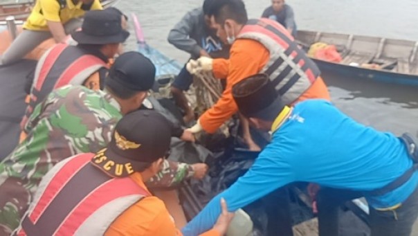 Proses evakuasi potongan tubuh korban pencari ketam di Inhil