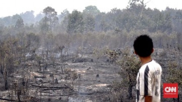 Lokasi  bekas kebakaran hutan dan lahan di Kabupaten Musi Banyuasin, Sumatera Selatan, beberapa waktu lalu. 