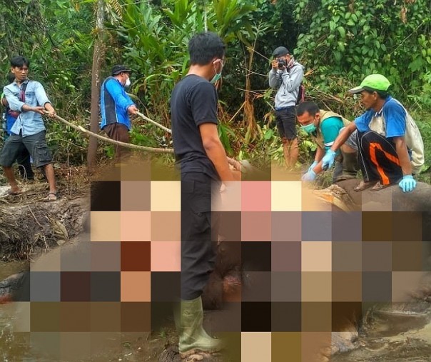 Dita Gajah Sumatera tewas dengan kondisi perut pecah di nekropsi (Foto: Istimewa/ Rimba Satwa Fondation)
