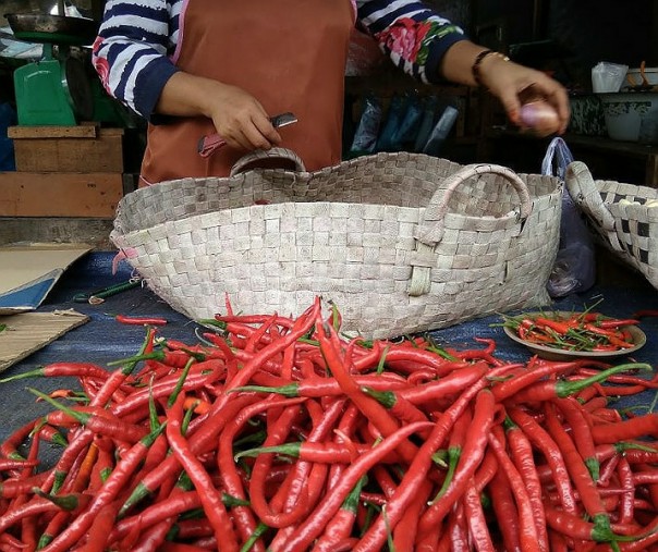 Ilustrasi cabai merah. Foto: Surya/Riau1.