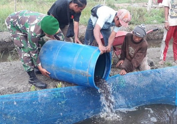 Penyebaran bibit ikan lele dari DKP Riau di Desa Sungai Dusun Inhil 