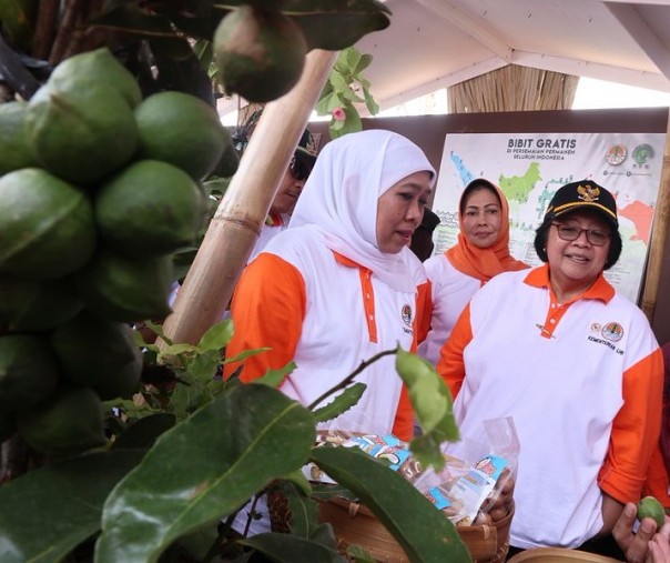 Menteri KLHK Siti Nurbaya (Foto: Istimewa/internet)