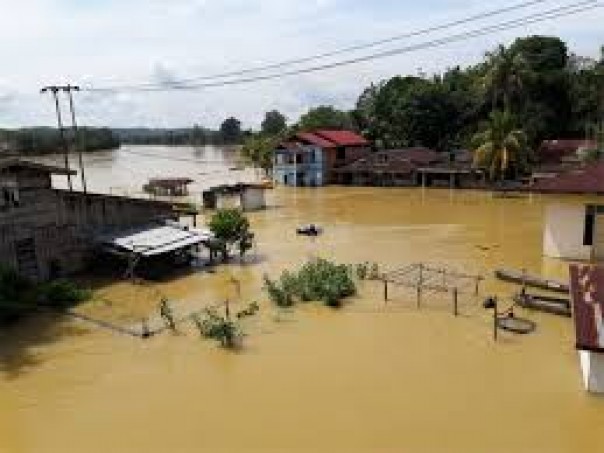 Kisah Pedih Nurilas, Petani di Kampar yang Rugi Hingga Ratusan Juta Rupiah Akibat Banjir 