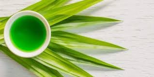 Lima Tanaman Herbal yang Bisa Membantu Anda Melawan Stres dan Kecemasan