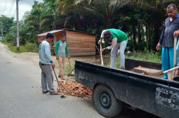 Masyarakat Desa Lubuk Siam gotong royong memperbaiki jalan yang rusak pasca banjir