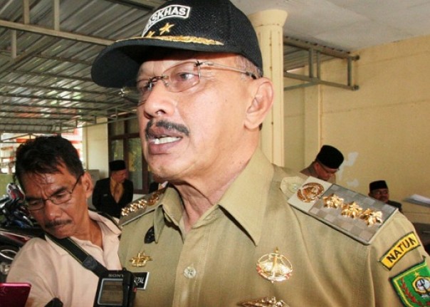Bupati Natuna, Abdul Hamid Rizal