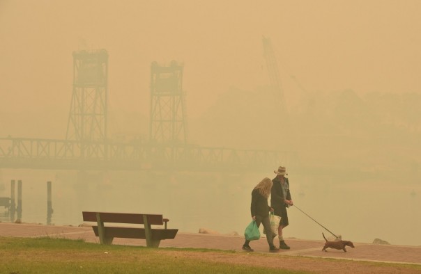 Aktor dan Bintang Pop Dunia Mengumpulkan Dana Untuk Membantu Korban Kebakaran Hutan di Australia