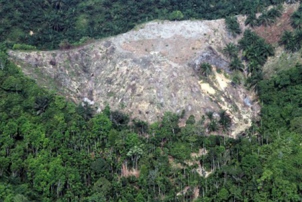Walhi : Pembangunan PLTA di Leuser Aceh Dapat Dibatalkan Karena Hal Ini