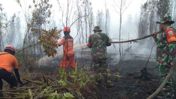 Tim gabungan melakukan pemadaman karhutla di Desa Tasik Serai Bengkalis