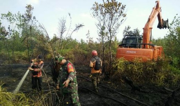 Alat berat dikerahkan untuk membuat sekat kanal di Desa Tasik Serai agar api karhutla tidak merambat ke Cagar Biosfer Giam Siak Kecil