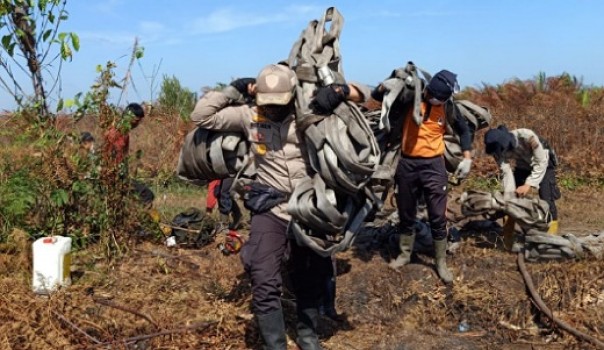 Tim Polres Bengkalis saat melakukan pemadaman dan pendinginan di lahan yang terbakar di Rupat Utara