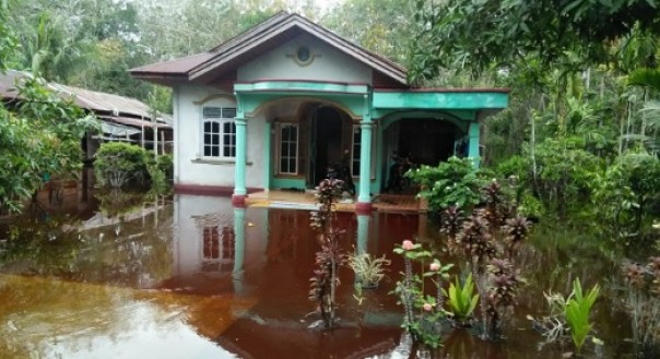 Rumah warga di Pulau Bengkalis terendam banjir