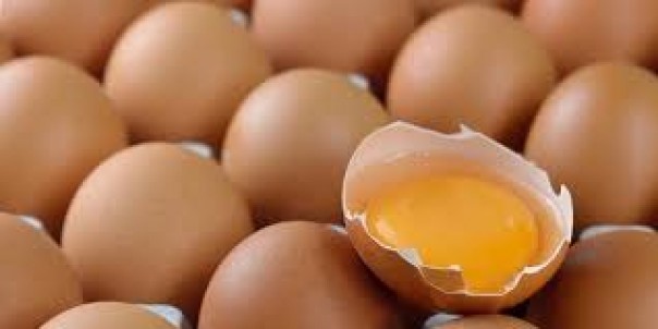 Tak Boleh Berlebihan, Ternyata Ini Jumlah Telur yang Boleh Dikonsumsi Setiap Hari