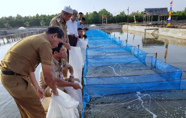 Penaburan 100 ribu bibit kakap putih di tambak UPT-BBAP Dinas Kelautan dan Perikanan Provinsi Riau, di Desa Banglas oleh Wakil Bupati Meranti Said Hasyim Selasa (4/2/2020)