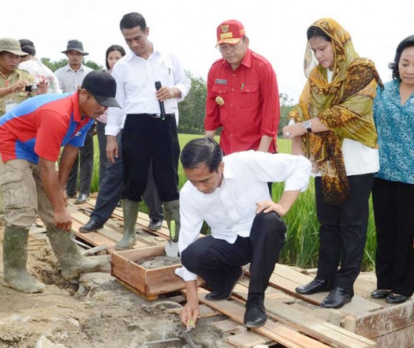 Ilustrasi Jokowi sedang melakukan peninjauang lapangan (Foto: Istimewa/internet)