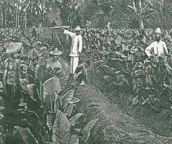 Ilustrasi pekarja perkebunan tembakau era kolonial (Foto: Istimewa/internet)