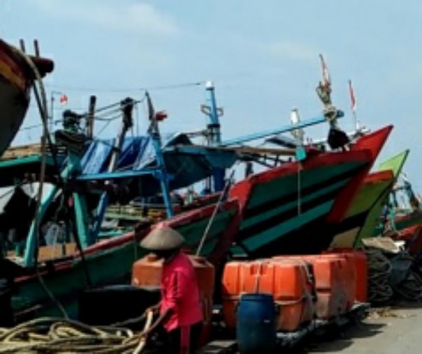 Ratusan kapal nelayan cantrang bersandar di pelabuhan Tegal. Foto: Tempo.co.