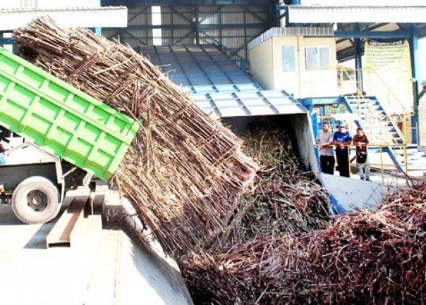 Bulog Meminta Persetujuan Untuk Mengimpor 200.000 Ton Gula Menjelang Ramadhan