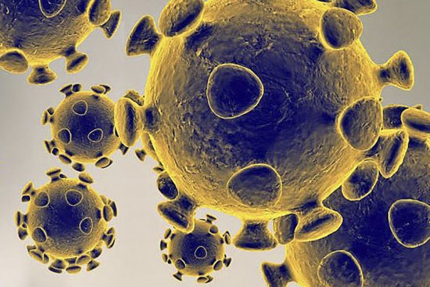 Selandia Baru Mengkonfirmasi Kasus Virus Corona yang Pertama