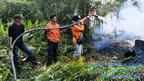 Tim BPBD Pelalawan melakukan pemadaman kebakaran lahan di Teluk Meranti