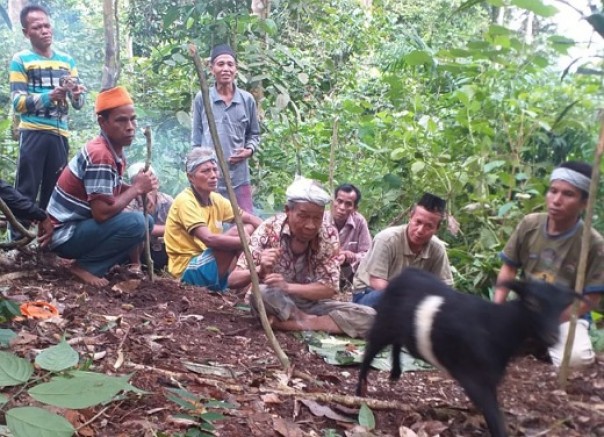 Batin Talang Mamak melepaskan satu ekor kambing jantan warna hitam ke dalam hutan keramat untuk dipersembahkan kepada leluhur, sebagai upaya mencegah wabah agar tidak masuk kedalam tanah/kampung mereka.