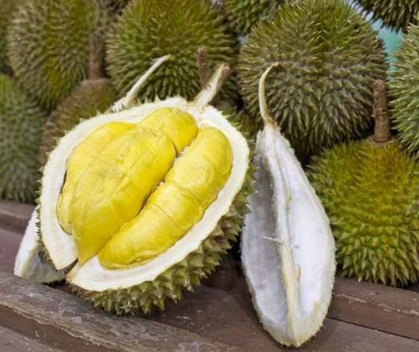 Ilustrasi buah durian (Foto: Istimewa/internet)