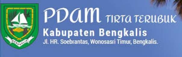 PDAM Tirta Terubuk/net