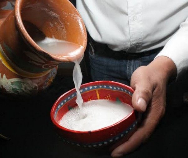 Pulque, minuman berfermentasi khas Meksiko terbuat dari getah kaktus (Foto: Istimewa/internet)