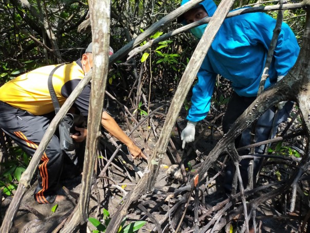 Saksi menunjukan tempat penemuan tulang belulang manusia yang digantung di pohon bakau/R24