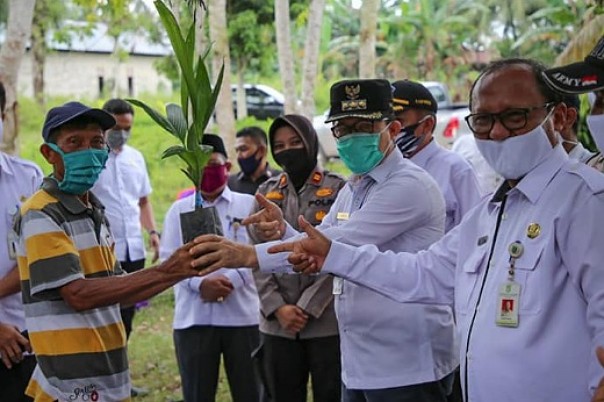 Wali Kota Dumai, Zulkifli Adnan Singkah memberikan bibit pinang batara kepada masyarakat Bukit Nenas