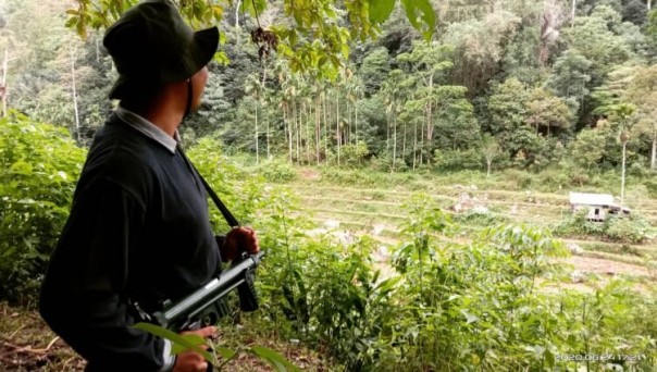 Petugas BKSDA intai keberadaan Harimau di Palembayan Agam/langgam