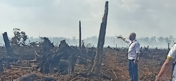 Konsensi pt arara abadi yang twrbakar