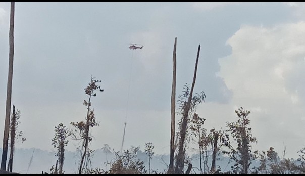 Konsesi Arara Abadi yang terbakar diduga saat pembukaan lahan untuk TNK/R24