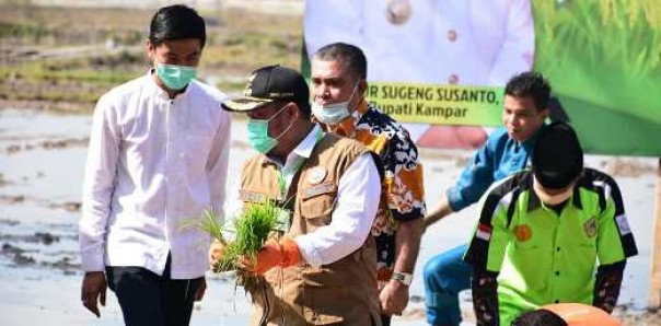 Bupati Kampar, Catur Sugeng Susanto saat mencanangkan program ketahanan pangan di Desa Pulau Tinggi