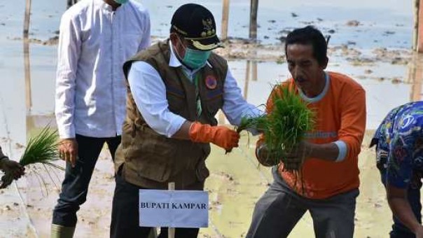 Bupati Kampar, Catur Sugeng Susanto saat mencanangkan program ketahanan pangan di Desa Pulau Tinggi
