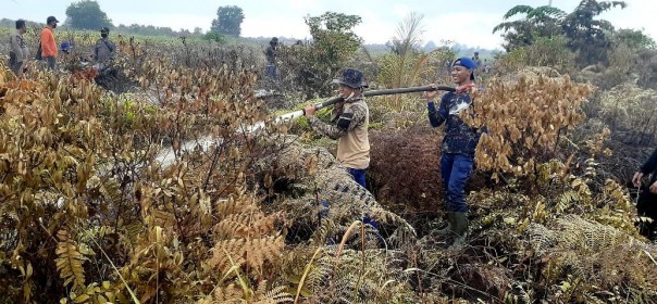 Petugas saat melakukan pemadaman api karhutla di desa gayung kiri